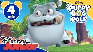 Puppy Dog Pals  La partita  Disney Junior Italia [upl. by Ignatz839]