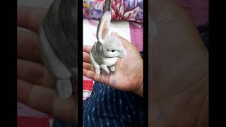 kaisa laga mera rabbit 🐇🐇shorts shortvideo youtube [upl. by Ennoryt278]