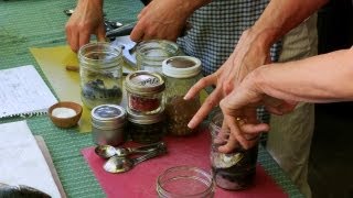 Canning Sardines at Home A Guide to Preserving the Seas Bounty [upl. by Sawtelle]