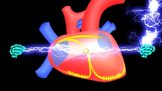 🔴 APPRENEZ LE SYSTEME ELECTRIQUE DU COEUR EN 7 MIN EN 2017   DR ASTUCE [upl. by Acinomahs240]