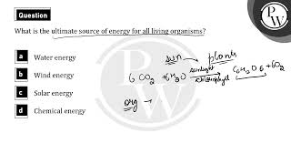 What is the ultimate source of energy for all living organisms [upl. by Neret]