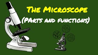 SCIENCE 7 PARTS OF THE MICROSCOPE AND THEIR FUNCTIONS [upl. by Eirhtug]