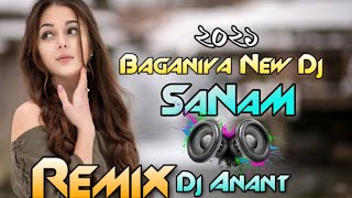 SANAM DJ SONG BAGANIYA NEW REMIX SONG BY DJ ANANT ASSAM [upl. by Eutnoj490]