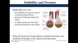 Properties of Solutions [upl. by Bullis]