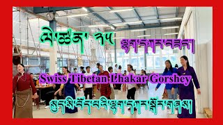 སུད་སི་བོད་པའི་ལྷག་དཀར་སྒོར་གཞས། Swiss Tibetan Lhakar Gorshey 25 swisslhakar gorshey [upl. by Beaulieu]