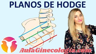 PLANOS DE HODGE para definir la ALTURA de la PRESENTACIÓN en el PARTO  Ginecología y Obstetricia [upl. by Tillion]