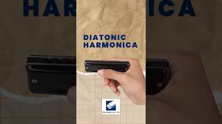 6 Types Of Harmonicas Diatonic Harmonica Blues Harp [upl. by Hershel910]