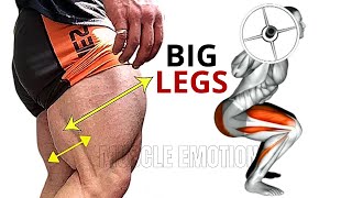 5 BEST LEGS WORKOUT AT GYM  Les Meilleurs exorcises Musculation Jambes [upl. by Lednyk80]