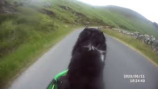 Downhill on a Bullitt cargobike Wicklow 200 June 2023 [upl. by Norton667]