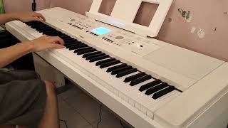 Camellia Flamewall Piano cover [upl. by Ycul]