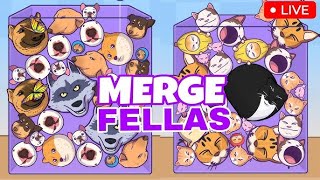 Merge Fellas Live Gameplay Shorts Shortsfeed Mergegrobber [upl. by Aloel]