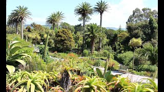 Tresco Abbey Garden 2019  Isles of Scilly  Tresco Island [upl. by Tremain381]