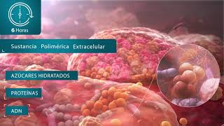 EL BIOFILM Y EL RETRASO EN LA CICATRIZACIÓN DE LAS HERIDAS [upl. by Ettelliw460]