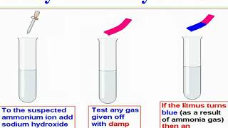 Test for ammonium ion Cách nhận biết ion amoni NH4 [upl. by Signe]