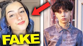 Charli DAmelio and Landon Barkers quotFakequot Relationship Exposed  Hollywire [upl. by Roskes]