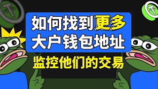 如何發現更多幣圈大戶錢包地址？並監控他們做什麽交易大戶會幫你篩選熱門新幣——如何發現熱門新幣 如何找新幣 熱門代幣 最具潛力虛擬貨幣 炒幣技巧 虛擬貨幣 加密貨幣 [upl. by Anigar124]