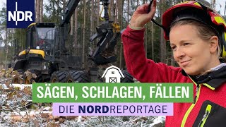 Sägen Schlagen Fällen  Mit großen Maschinen durch die Holzernte  Die Nordreportage  NDR [upl. by Ytinirt]