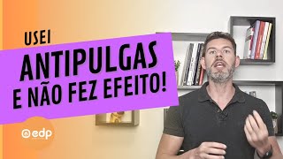 162  ANTIPULGAS QUE NÃO FUNCIONA NÃO ACABOU COM AS PULGAS [upl. by Erastatus]