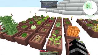 Minecraft Cuboid Outpost 1201  Day 16 [upl. by Airot]