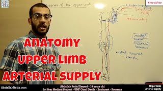 arterial supply upper limb  عبد الله رضا MD  Rocademia روكاديميا [upl. by Alle]