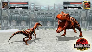 VELOCIRAPTOR VS T REX  JURASSIC DINOSAUR TOURNAMENT  JURASSIC PARK BUILDER [upl. by Mavilia]