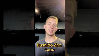 Bushido Zo ФАКТЫ🤯 music rap hiphop bushido yo9 [upl. by Norbel]