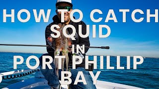 How To Catch Squid In Port Phillip Bay [upl. by Norahs]