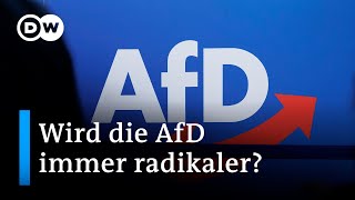 Verbreitet die AfD NaziIdeologie  DW Nachrichten [upl. by Ddart322]