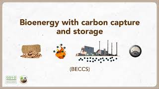 How much greenhouse gas can perennial biomass crops remove Introducing the PBC4GGR Demonstrator [upl. by Anitan132]