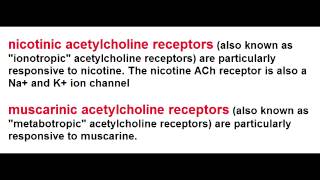 Ach Receptors  Nicotinic amp Muscarinic [upl. by Ahsinar]