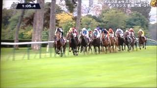 競馬凱旋門賞 2013 中継動画 オルフェーヴル、キズナの順位は？。優勝馬のトレヴ強すぎ！オルフェーヴェルは有馬記念後に引退か？ [upl. by Assinna68]