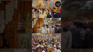 The Divine Journey of Palki Sahib Ji at Golden Temple shorts solutionsamritsarvlogs ytshorts [upl. by Aynwat]