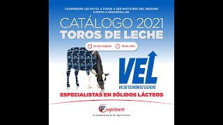 Lanzamiento Catálogo de toros de leche 2021 [upl. by Romano372]