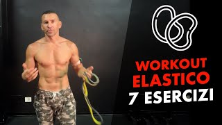 7 esercizi con Elastici per una Scheda Full Body [upl. by Haduhey15]