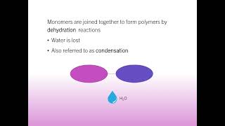 Macromolecules 1  Monomers and Polymers [upl. by Asik253]