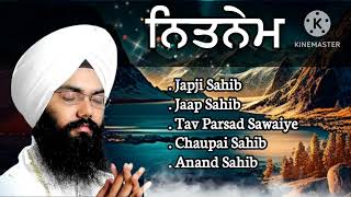 Nitnem Sahib full path  Bhai Manpreet Singh Kanpuri kirtan singh gurbanikirtan gurbani music [upl. by Danae]