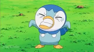 piplup funny moments part 2😂 [upl. by Perrins]