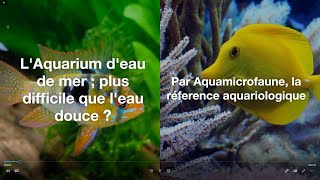 Aquariophilie  Leau de mer plus difficile que leau douce [upl. by Gavette632]