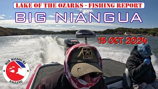 Lake of the Ozarks Bass Fishing  15 Oct 2024  Fishing report [upl. by Richelle]