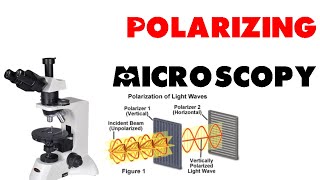 Polarizing microscopy [upl. by Ecnesse]