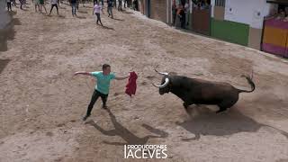 4 Toros en La Vall dUixó  Sant Vicent Ferrer [upl. by Crandale]