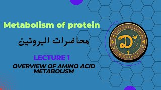 overview of amino acid metabolism شرح بالعربي على مصدر هاربر  جابتر ٢٨ [upl. by Emirej]