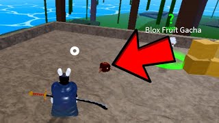 I GOT THIS SECRET FRUIT FOR FREE IN BLOX FRUIT 😱🤩 [upl. by Keiryt]