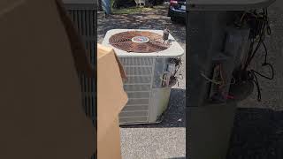 HVAC Tip of the Day Maximizing Your AC Units Lifespan for LongTerm Savings [upl. by Ydda155]