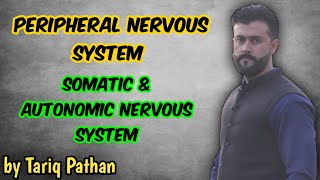 Chapter Coordination Peripheral Nervous System  Somatic amp Autonomic Nervous System  Tariq Pathan [upl. by Daly]