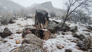 Building Primitive Shelter from start to finish with Fireplace outsideSurvival Winter Camping [upl. by Fabiolas]