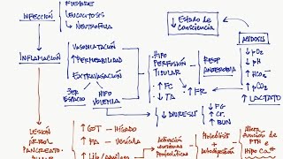 Pancreatitis parte 1 Interpretación de la analítica y criterios de gravedad [upl. by Dodds]