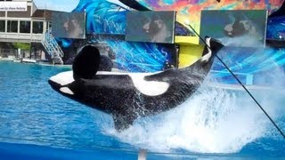 Shamu Story Full Presentation at SeaWorld San Diego 121412 [upl. by Assyn231]