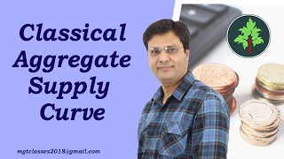 Classical Aggregate Supply Curve in Hindi [upl. by Zebapda121]