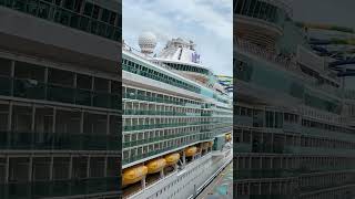 Cruise Ship Horn Battle shortsfeed shorts youtubeshorts [upl. by Alair]